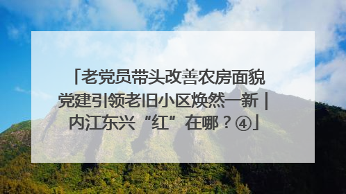 老党员带头改善农房面貌 党建引领老旧小区焕然一新｜内江东兴“红”在哪？④