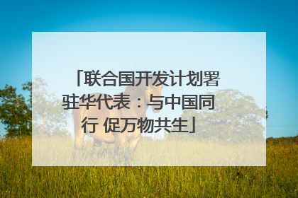 联合国开发计划署驻华代表：与中国同行 促万物共生