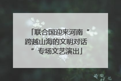 联合国迎来河南“跨越山海的文明对话”专场文艺演出