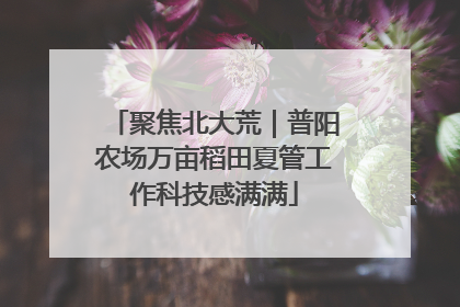 聚焦北大荒｜普阳农场万亩稻田夏管工作科技感满满