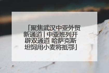 聚焦武汉中亚外贸新通道│中亚班列开辟双通道 哈萨克斯坦饲用小麦将抵鄂