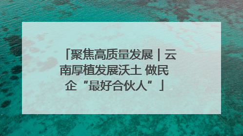 聚焦高质量发展|云南厚植发展沃土 做民企“最好合伙人”