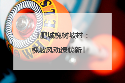 肥城槐树坡村：槐坡风动绿藤新