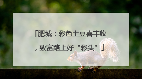 肥城：彩色土豆喜丰收，致富路上好“彩头”