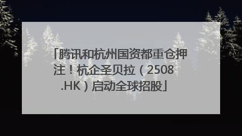 腾讯和杭州国资都重仓押注！杭企圣贝拉（2508.HK）启动全球招股