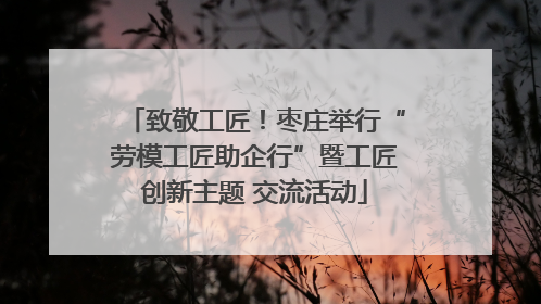 致敬工匠！枣庄举行“劳模工匠助企行”暨工匠创新主题 交流活动