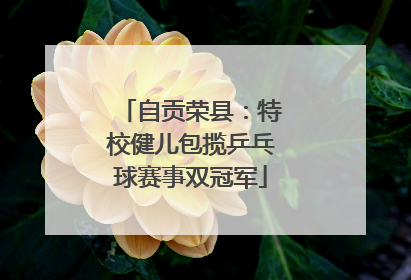 自贡荣县：特校健儿包揽乒乓球赛事双冠军