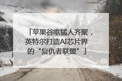 苹果谷歌猛人齐聚，英特尔打造AI芯片界的“复仇者联盟”