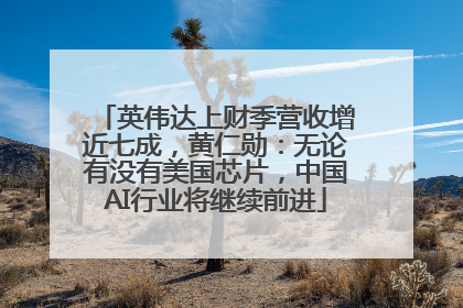 英伟达上财季营收增近七成，黄仁勋：无论有没有美国芯片，中国AI行业将继续前进