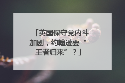 英国保守党内斗加剧，约翰逊要“王者归来”？