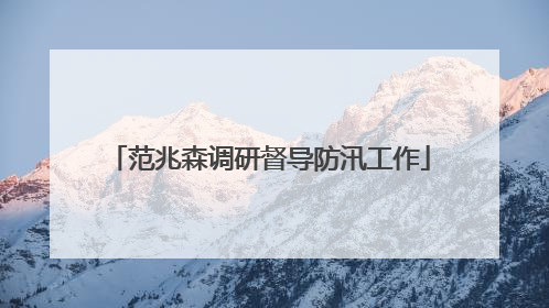 范兆森调研督导防汛工作