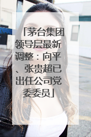 茅台集团领导层最新调整：向平、张贵超已出任公司党委委员