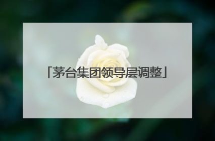 茅台集团领导层调整