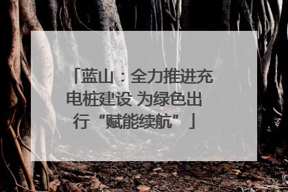 蓝山：全力推进充电桩建设 为绿色出行“赋能续航”
