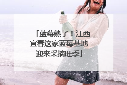 蓝莓熟了！江西宜春这家蓝莓基地迎来采摘旺季