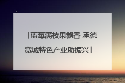 蓝莓满枝果飘香 承德宽城特色产业助振兴