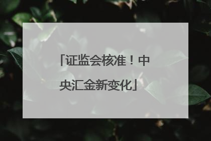 证监会核准！中央汇金新变化