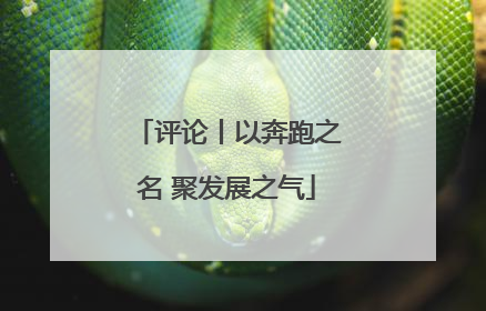 评论丨以奔跑之名 聚发展之气