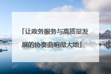 让政务服务与高质量发展的协奏曲响彻大地