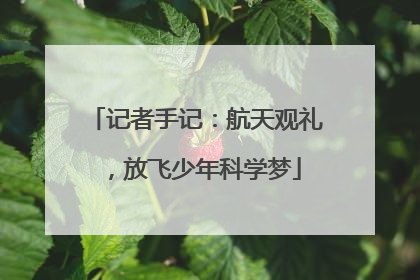 记者手记：航天观礼，放飞少年科学梦