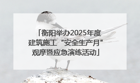 衡阳举办2025年度建筑施工“安全生产月”观摩暨应急演练活动