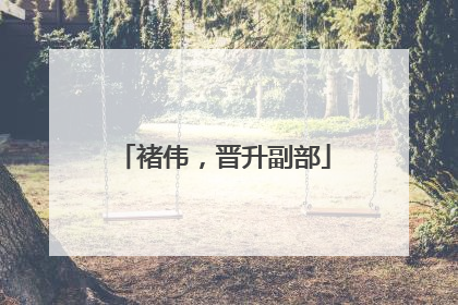褚伟，晋升副部