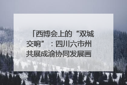 西博会上的“双城交响”：四川六市州共展成渝协同发展画卷｜西博视界