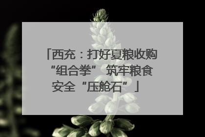 西充：打好夏粮收购“组合拳” 筑牢粮食安全“压舱石”