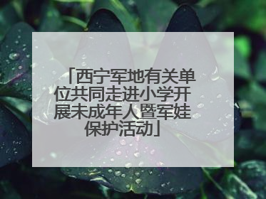 西宁军地有关单位共同走进小学开展未成年人暨军娃保护活动