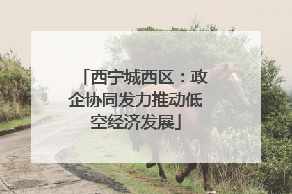 西宁城西区：政企协同发力推动低空经济发展