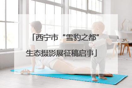西宁市“雪豹之都”生态摄影展征稿启事