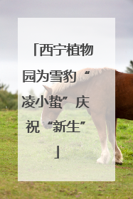 西宁植物园为雪豹“凌小蛰”庆祝“新生”