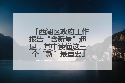 西湖区政府工作报告“含新量”超足，其中读懂这三个“新”最重要