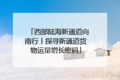 西部陆海新通道向南行丨探寻新通道货物运量增长密码