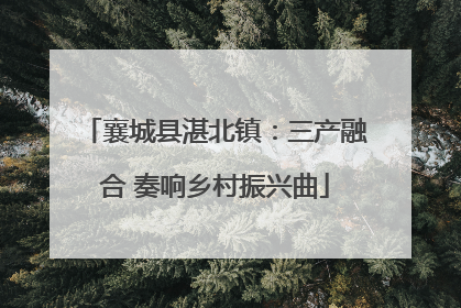 襄城县湛北镇：三产融合 奏响乡村振兴曲
