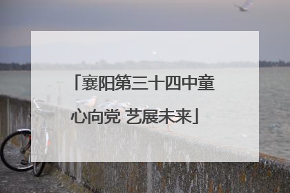 襄阳第三十四中童心向党 艺展未来