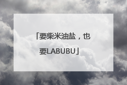 要柴米油盐，也要LABUBU