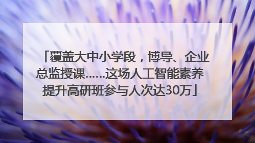 覆盖大中小学段，博导、企业总监授课……这场人工智能素养提升高研班参与人次达30万