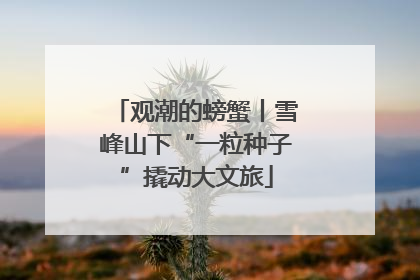 观潮的螃蟹丨雪峰山下“一粒种子”撬动大文旅