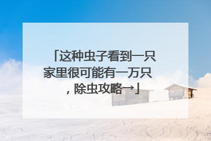 这种虫子看到一只家里很可能有一万只，除虫攻略→
