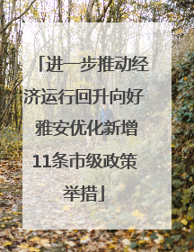 进一步推动经济运行回升向好 雅安优化新增11条市级政策举措