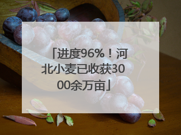 进度96%！河北小麦已收获3000余万亩