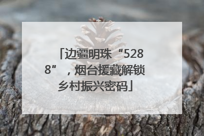 边疆明珠“5288”，烟台援藏解锁乡村振兴密码