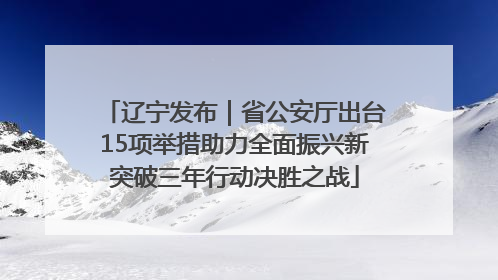 辽宁发布｜省公安厅出台15项举措助力全面振兴新突破三年行动决胜之战