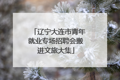 辽宁大连市青年就业专场招聘会搬进文旅大集