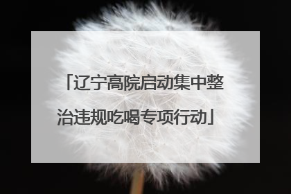 辽宁高院启动集中整治违规吃喝专项行动