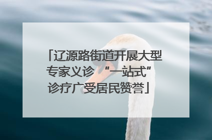 辽源路街道开展大型专家义诊 “一站式”诊疗广受居民赞誉