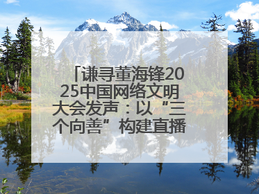 谦寻董海锋2025中国网络文明大会发声：以“三个向善”构建直播电商善意长河