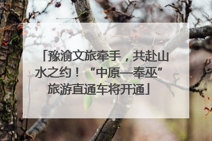 豫渝文旅牵手，共赴山水之约！“中原—奉巫”旅游直通车将开通