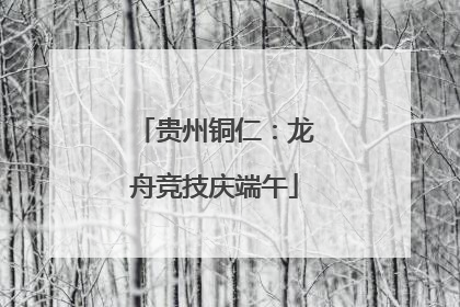贵州铜仁：龙舟竞技庆端午